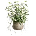 Faux Potted Queen Anne's Lace and Willow Plant
