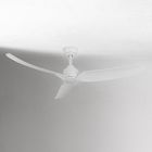 Phanie Ceiling Fan (52")