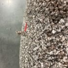 Open Box: Cozy Swivel Chair - Deluxe Boucle Mushroom