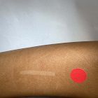 Open Box: Irvine Leather Dining Chair - Ludlow Leather Sesame, Cool Walnut