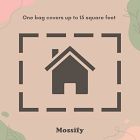 Mossify Growable Moss for the Shade