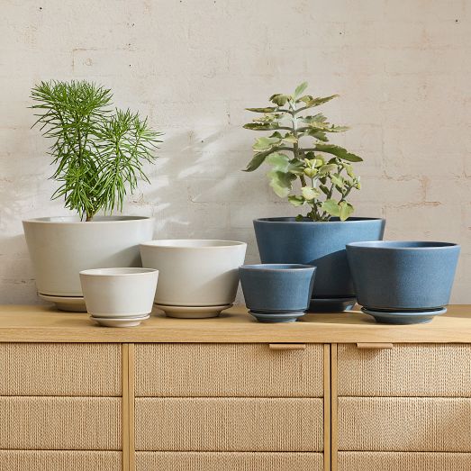 Bishop Ceramic Indoor/Outdoor Tabletop Planters | West Elm