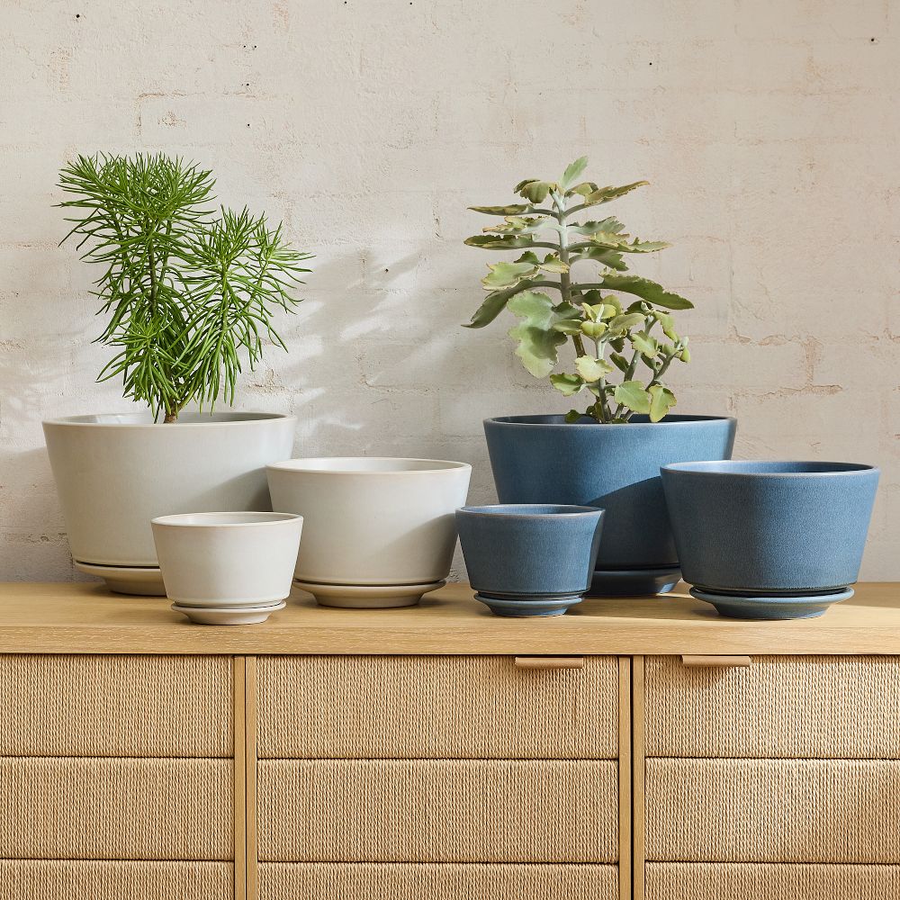Elora Ceramic Planters by West Elm