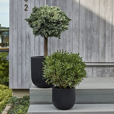 Indoor Planters for Home Decor | West Elm