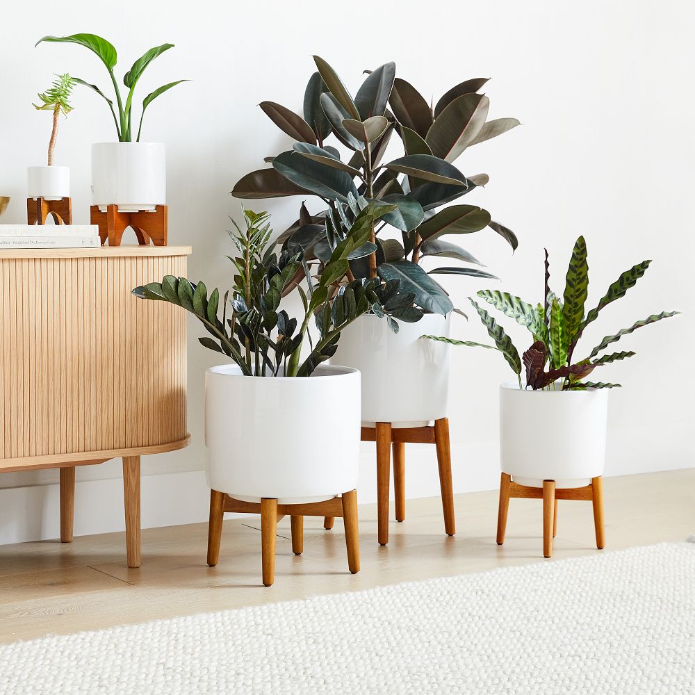 Mid-Century Turned Wood Leg Planters by West Elm