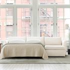 Dominick 2-Piece Sleeper Sectional w/ Storage Chaise (116")