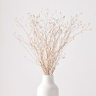 Dried Flax Bunch