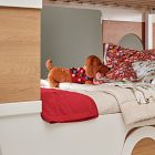 Dog in Lights Pillow