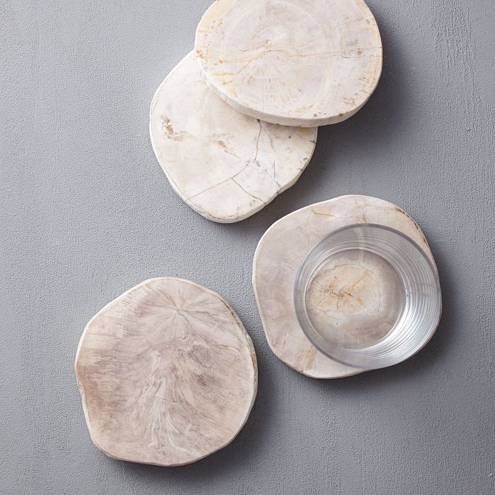 Petrified Wood Coaster Sets | West Elm