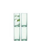 Canopy Recycled Drinking Glass Sets
