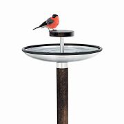 Bird Feeder & Bath