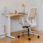 Branch Ergonomic Chair