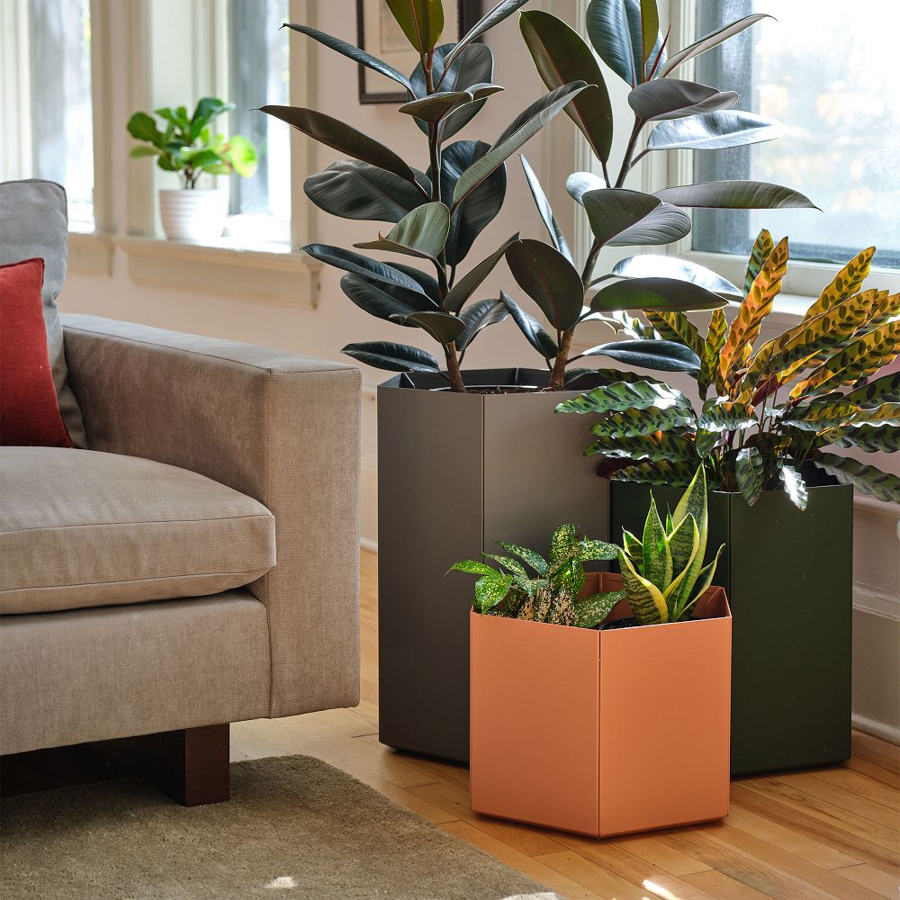 Hive Planter by Most Modest by West Elm