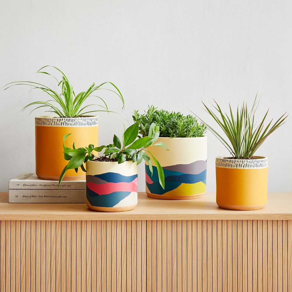 Ultralight Dreams Indoor Terracotta Planter by West Elm