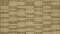 Vetiver Green