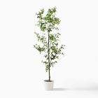 Open Box: Faux Potted Quince Leaf Tree (6')