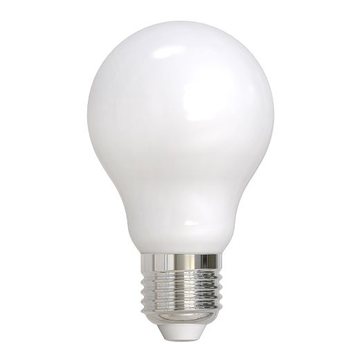 A19 LED Bulb