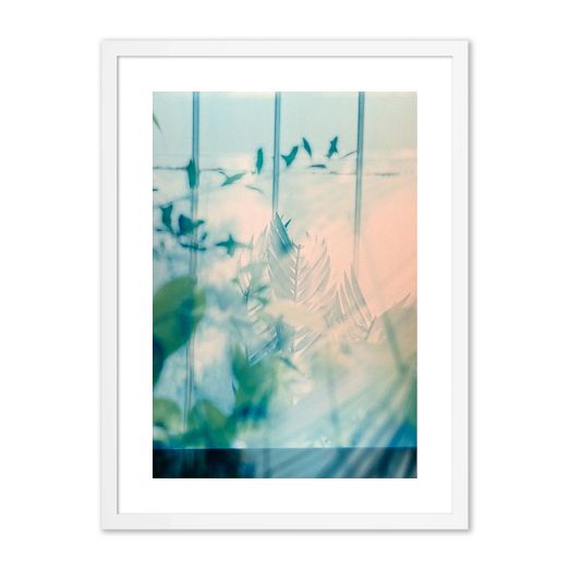 Big Kew Framed Wall Art by Annie Spratt by West Elm
