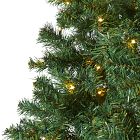 Pre-Lit Faux Northern Tip Pine Christmas Tree (5'&ndash;8')