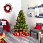 Pre-Lit Faux Sierra Spruce Christmas Tree (6')