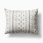 Open Box: Watercolor Ikat Sham, Standard - Graphite