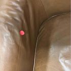 Open Box: Bennett Leather Swivel Club Chair - Saddle Leather Nut, Cool Walnut