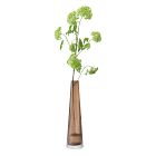 Beacon Glass Vases