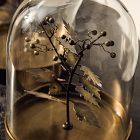 Halloween Botanical Cloches