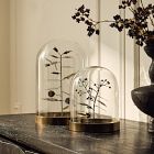 Halloween Botanical Cloches