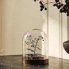Halloween Botanical Cloches