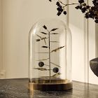 Halloween Botanical Cloches