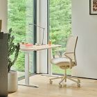 Branch Verve Chair