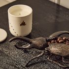 Halloween Antics Trinket Box