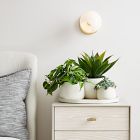 Dahlia Ceramic Planters - Set of 3