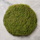 Faux Moss Charger
