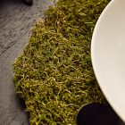 Faux Moss Charger