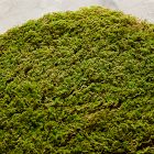 Faux Moss Charger