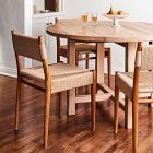 Vincent Indoor/Outdoor Woven Dining Chair