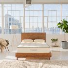 Avocado Green Mattress