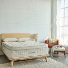 Avocado Luxury Organic Mattress