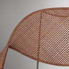 Coralia Rattan Indoor/Outdoor Dining Arm Chair