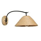 Kaylor Wall Sconce (14")