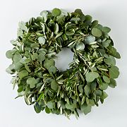 Silver Dollar Eucalyptus & Olive Wreath