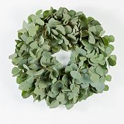Silver Dollar Eucalyptus Wreath