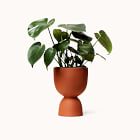 Franca NYC Stacked Planter