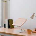 Branch Adjustable Laptop Stand