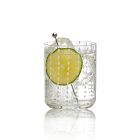 Open Box: Dash Low Tumbler, Set of 4 - Clear/White