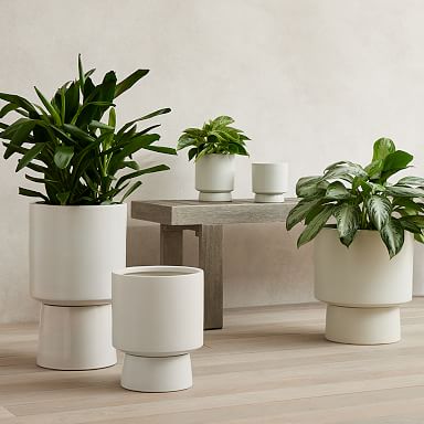 fiddle leaf fig flower Faux Fiddle Leaf Fig main image 1