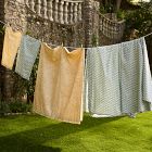 Thistle Sheet Set