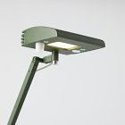 LightCorp Tino Desk Lamp (14.5")
